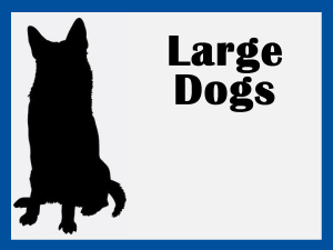 Large Breeds